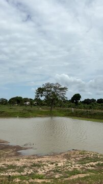 Small Natural Lake as a Water Source for Traditional Chena Cultivation in a Remote Sri Lankan Jungle