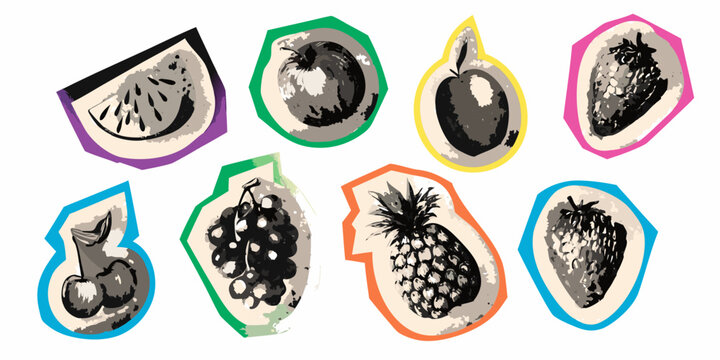 Collection Of Fruit Illustrations Vector Graphics With Colorful Outlines
