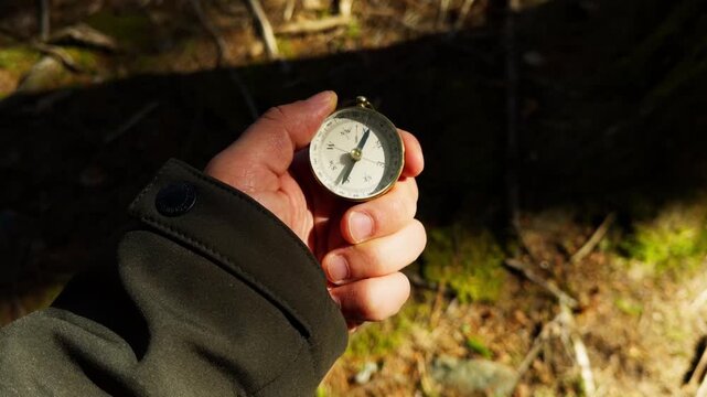 Embrace the tranquility of nature as hands hold a compass under the warm sunlight. This adventure unfolds in a lush forest, guiding the way through the serene surroundings