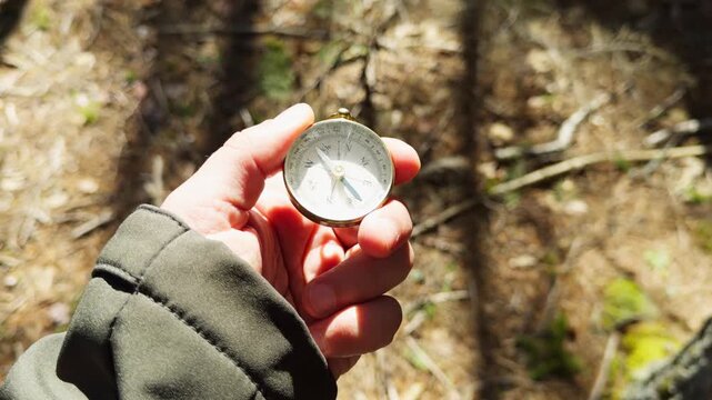 A person holds a vintage compass in their hand, surrounded by tall trees and soft sunlight filtering through the leaves. The peaceful forest setting invites adventure and exploration