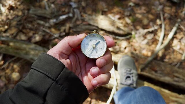 A hand holds a compass while navigating through the serene forest. Leaves rustle softly as nature's beauty unfolds, revealing the wonder of exploration and adventure in every step