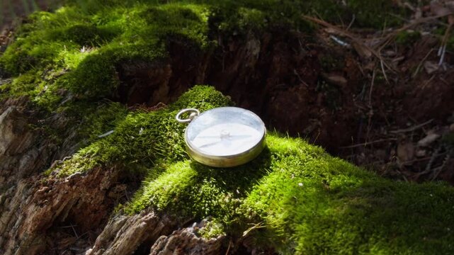 A compass lies on a wooden log covered in lush green moss, glimmering in soft sunlight. Nature surrounds this serene spot, inviting adventurers to explore the great outdoors