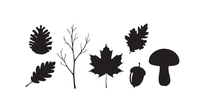 Autumn forest natural elements silhouette collection including pine cone maple leaf oak foliage acorn and mushroom set.