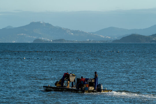 Maricultores navegando na Ponta dos Cedros na Enseada do Brito, Palho&ccedil;a, Santa Catarina, Brasil.