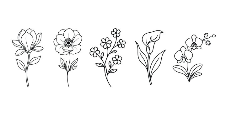 Minimalist hand drawn flower set featuring magnolia anemone forget me not calla and orchid.