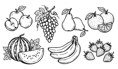 Hand drawn fruit line art vector illustration collection © MstKamrun