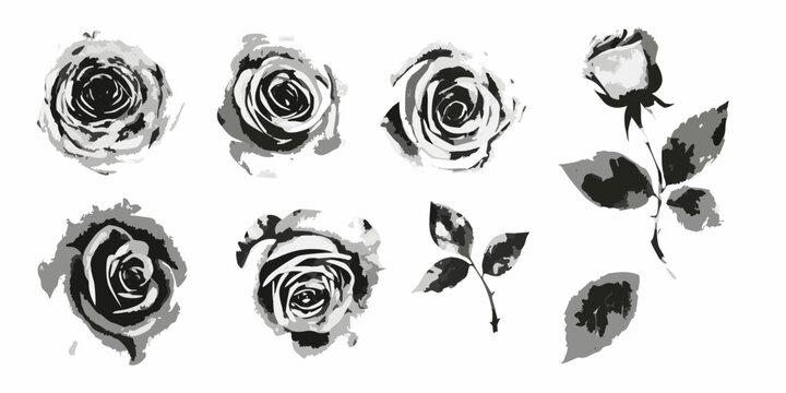 Rose floral ornaments grayscale vector illustration on a white background