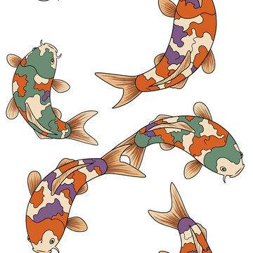 Colorful koi fish swimming together 2.