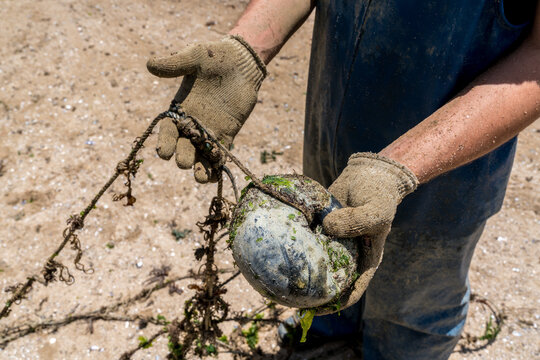 B&oacute;ias usadas no cultivo da macroalga Kappaphycus alvarezii na Enseada do Brito, Palho&ccedil;a, Santa Catarina, Brasil.