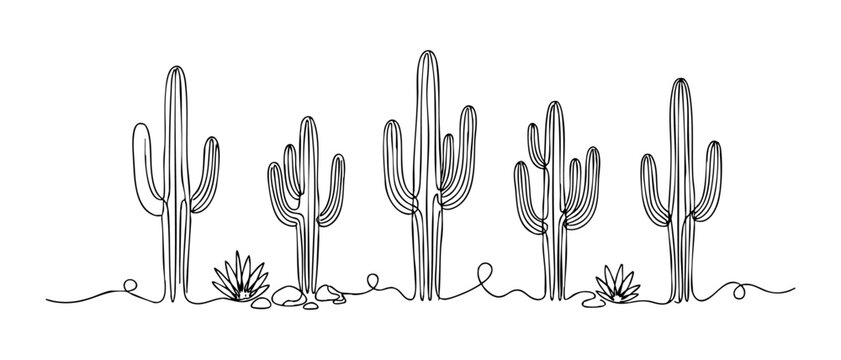 Continuous line art of various desert saguaro cacti, rocks and small plants