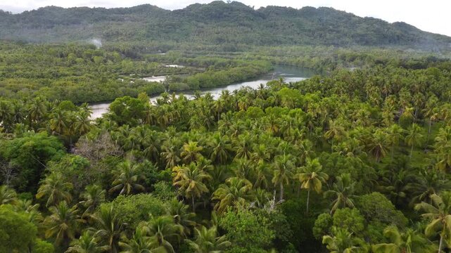 Drone aerial footage of Cantilan in Mindanao, Philippines featuring tropical coastline, river, ocean water, forest, lush jungle and natural island landscape.