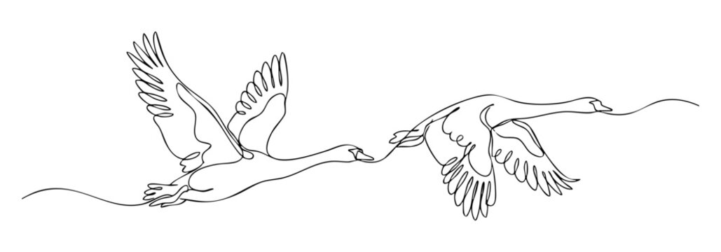 One line art of two graceful swans flying mid-air with outstretched wings