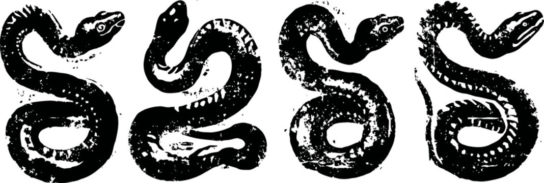 Black and white illustration of four coiled snakes with detailed scale patterns and curled tongues