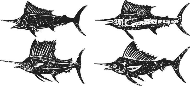 sailfish illustrations set four different black and white sailfish drawings with detailed lines and patterns