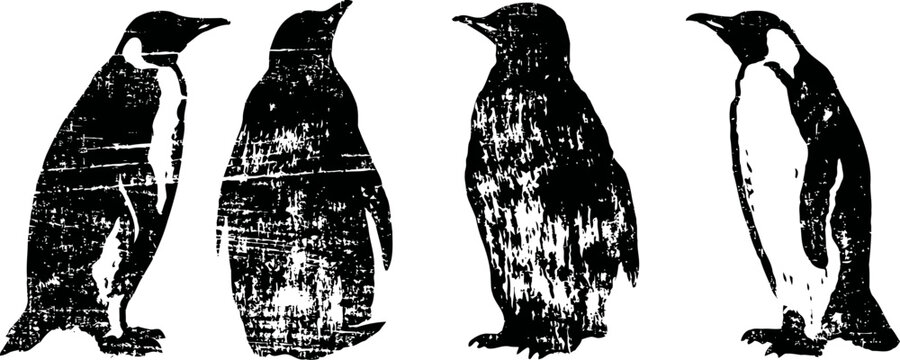 vintage silhouette penguin illustrations in black, four standing penguin figures facing different directions