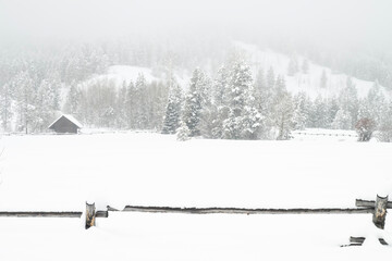 Snowstorm  Grand Teton NP  Wyoming  © Tom