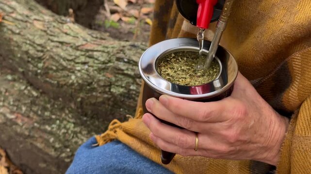 Close-up of an elderly woman pouring hot water into a traditional South American herbal tea called yerba mate. Wearing a yellow poncho with a rustic forest and old tree trunk in the background