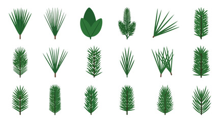 Vector Collection of Green Coniferous Tree Branches and Pine Needles © Ibnu