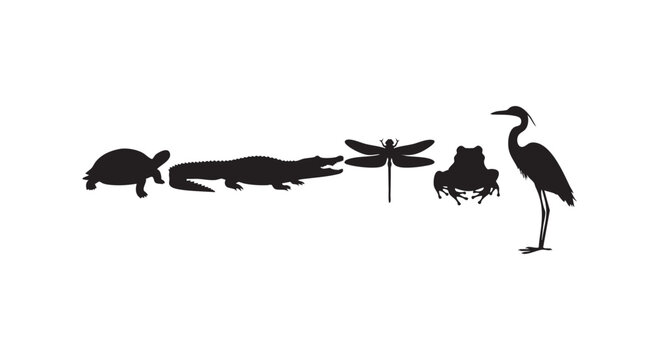 Swamp animals collection with turtle crocodile dragonfly frog heron vector illustration wetland wildlife silhouettes set.