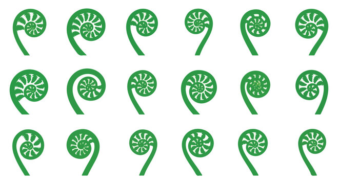 Green Koru Symbol Set Maori Fern Frond Vector Art Collection