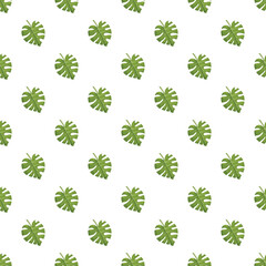 Green monstera deliciosa leaves creating a botanical background © nsit0108