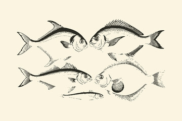 Obraz premium Vintage style illustration of six fish in a circular formation