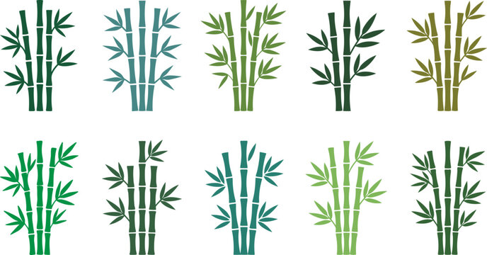 Colorful bamboo stalks with leaves in various shades of green on white background