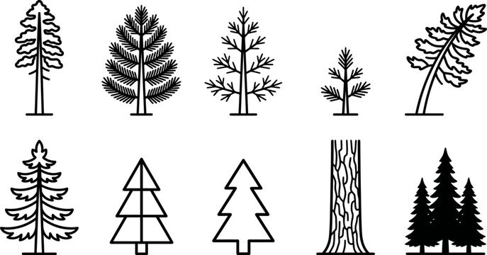 Various tree silhouettes and line art illustrations of pine trees and trunks