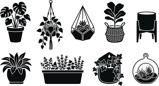 Houseplant silhouette collection featuring monstera fiddle leaf fig and ivy in decorative pots hanging planters terrariums isolated on white background for design.