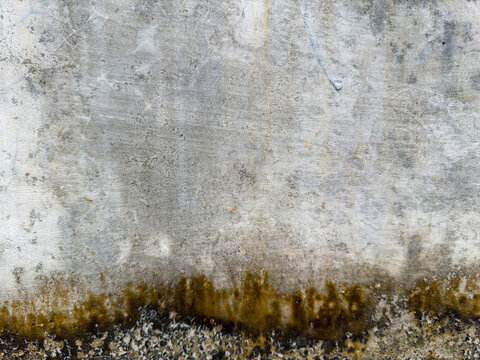 Urban architectural surface with nuanced decay patterns and a distinct boundary of environmental