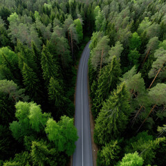 Fototapeta premium Aerial forest road green tree nature landscape summer travel scenic peaceful wilderness outdoor tranquil environment lush foliage countryside