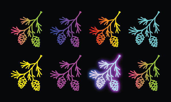 Evergreen pine branch with cones neon icon set for winter and holiday design decorations.
