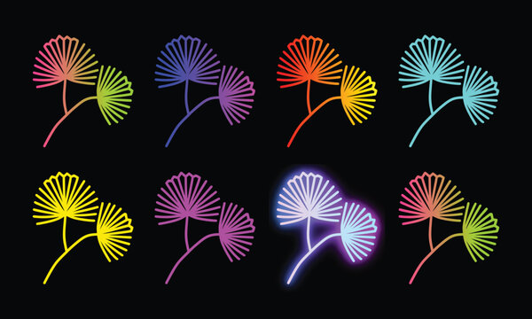 Pair of tropical dandelion like flowers with gradient colors on black.