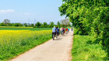 Fototapeta premium Cyclists ride along a path in a green landscape on a sunny day in a rural area