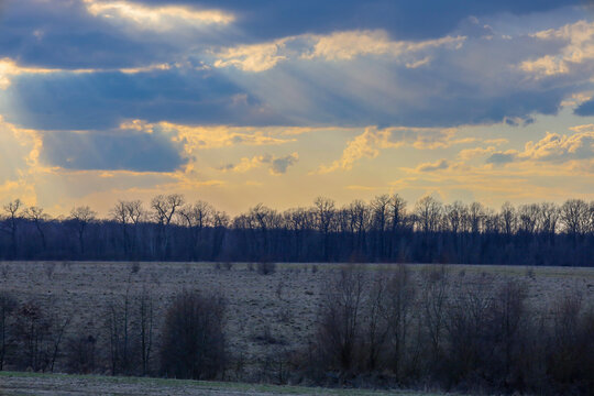 A picturesque evening landscape with a wide field, small bushes and a dense forest line on the horizon. Bright sunbeams effectively break through dense storm clouds, illuminating the earth with warm g