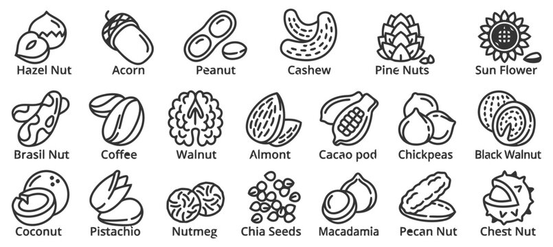 Set of Nut and Seed Line Icons