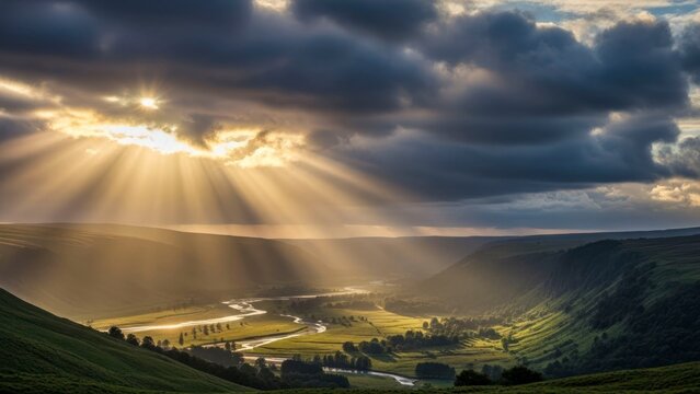 Sunlit landscape