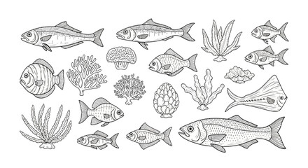 Hand Drawn Marine Life Set with Various Fish and Coral Reef Elements © lili