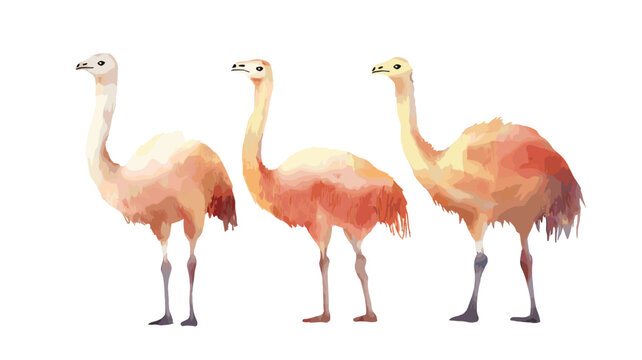 Paracas National Reserve. Paracas National Reserve hand drawn watercolor illustration