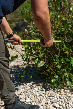 Vertical close up of man trimming hedge with shears