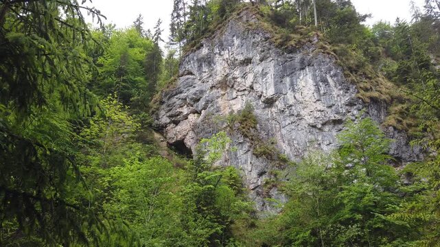 Dramatic mountain landscape with dense forest, rocky cliff wall and natural stone formations in a steep alpine environment under scenic wilderness atmosphere