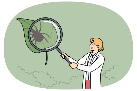 Woman scientist studies encephalitic ticks, walking through park with magnifying glass looking for parasites. Researcher explores encephalitic mites to find antidote to blood-sucking insect