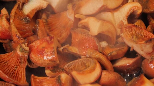 Saffron milk caps steam while frying, mushrooms fried in a frying pan close up footage. High quality 4k footage