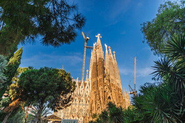Naklejka premium Sagrada Familia cathedral surrounded by tropical trees under dramatic dark blue morning sky in Barcelona