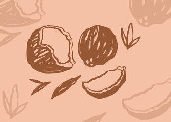 coconut © bryan