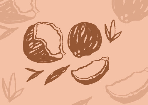 coconut
