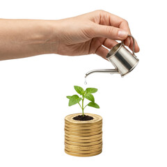Hand watering plant growing from stack of gold coins isolated © BTG