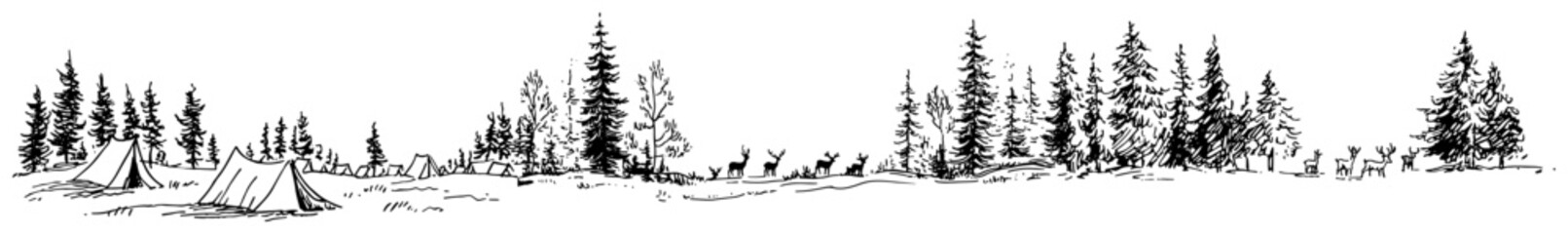 Outdoor camping scene with tents and wild deer in a pine forest landscape sketch © Celestynka