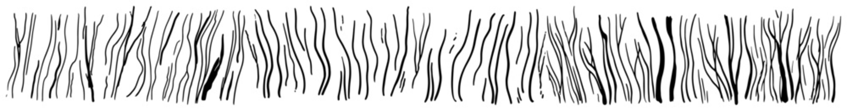 Tall grass field or reeds texture minimalist hand drawn sketch style