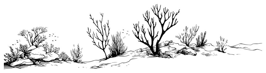 Dry bushes and rocky terrain on barren landscape in hand drawn ink sketch style © Celestynka